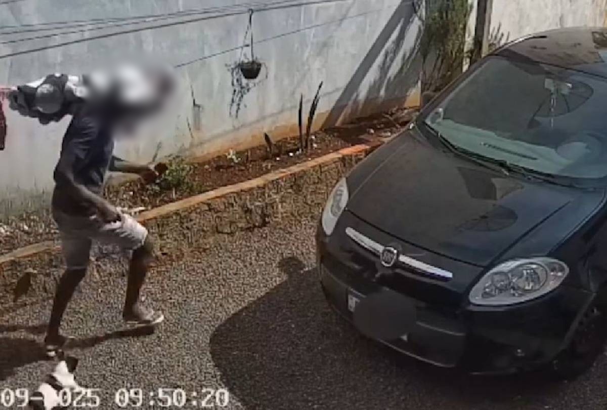 Horror em Nova Santa Rosa: Mulher é brutalmente esfaqueada pelo ex-companheiro; vídeo registra ataque