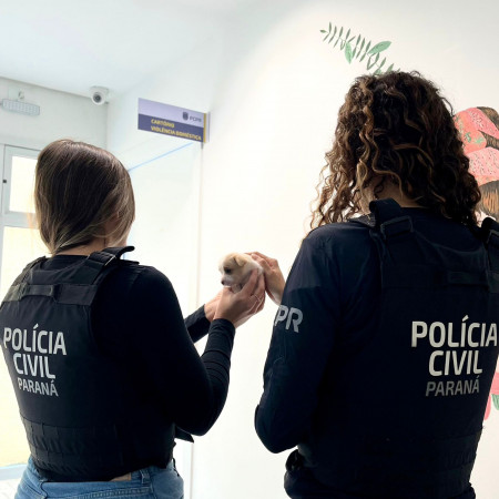 PCPR prende homem em flagrante por perseguição e maus-tratos a animais em Araucária