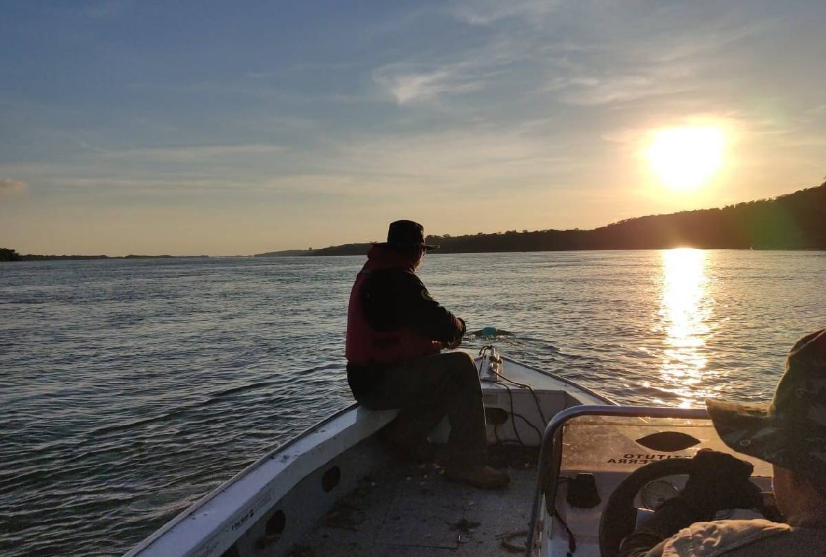 Piracema 2025/2026: Paraná Proíbe Pesca de Nativos para Preservar a Reprodução