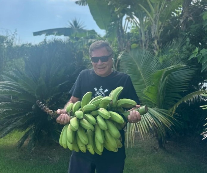 Alvaro Dias está preparado para levar mais bananas do eleitor?
