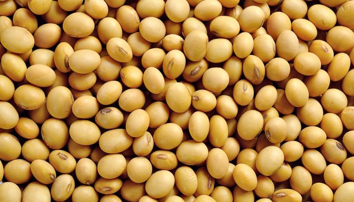 Foto: Foto: Divulgação