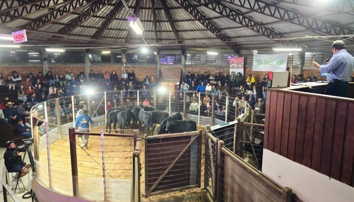 Foto: Conteúdo e Notícias do Agronegócio Brasileiro | CompreRura