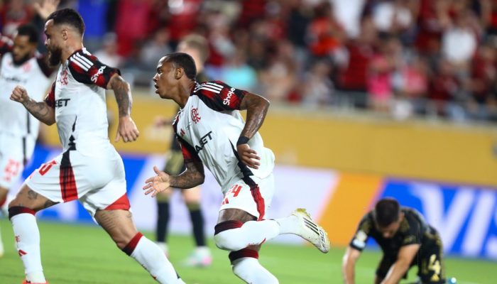 Flamengo x Portuguesa-RJ — Foto: Gilvan de Souza / FlamengoWallace Yan será titu