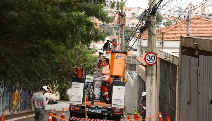 Foto: Aumenta a área cultivada com sorgo
