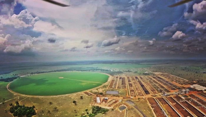 12354028_1495009054135930_952195657_n