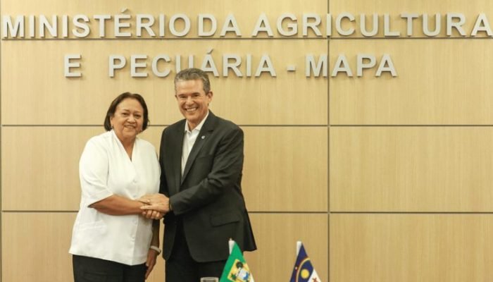 Foto: Conteúdo e Notícias do Agronegócio Brasileiro | CompreRura