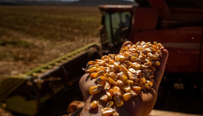 Foto: Notícias do Agronegócio Brasileiro – CompreRural