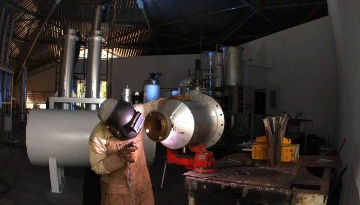 Foto: Cavalos e gado selvagens ajudam a restaurar ecossistemas e aumentar a biod
