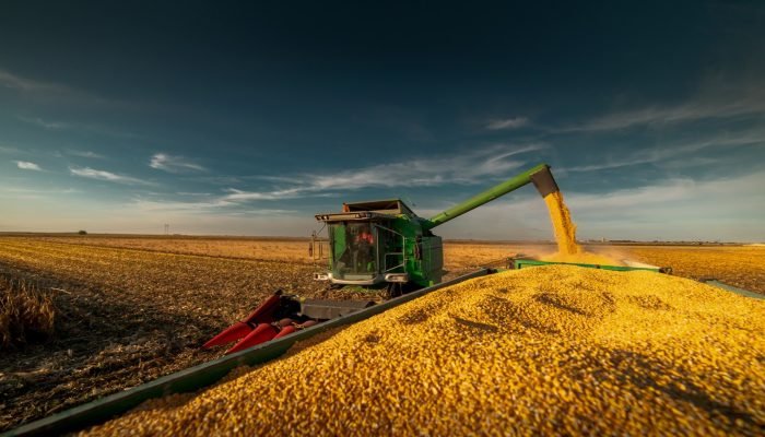Foto: Conteúdo e Notícias do Agronegócio Brasileiro | CompreRura