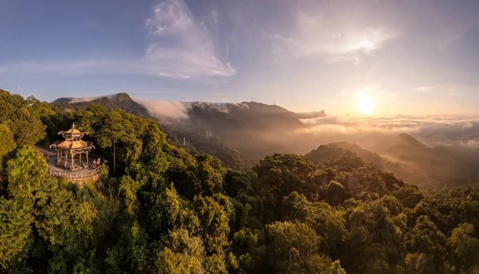 1_parque_nacionaldatijuca_credito_vitor_marigo_12.jpg