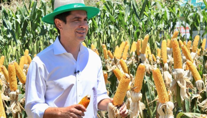 Foto: Crédito da imagem sugerido: