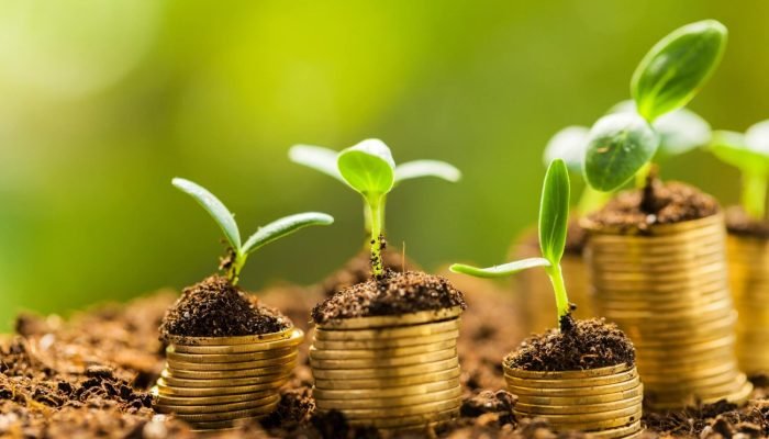 Foto: Conteúdo e Notícias do Agronegócio Brasileiro | CompreRura