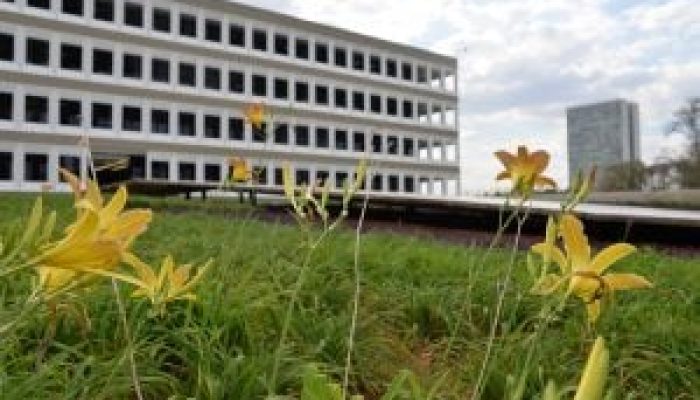 32023354401-b1ac37fc3f-c1-300x201-1