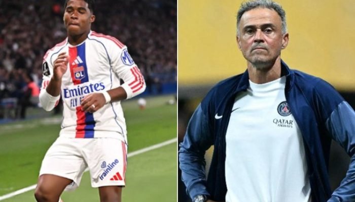 3l7qn49xaj8a0tno666zpqvg7