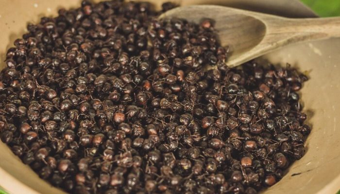 545f82370748aff7ff5f2a0e-img-4818-1-1