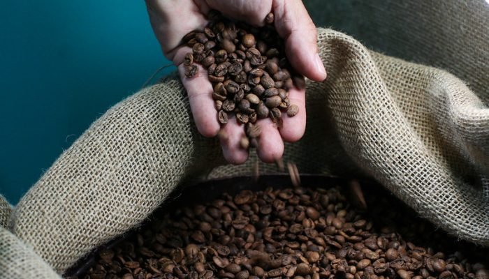Foto: Conteúdo e Notícias do Agronegócio Brasileiro | CompreRura