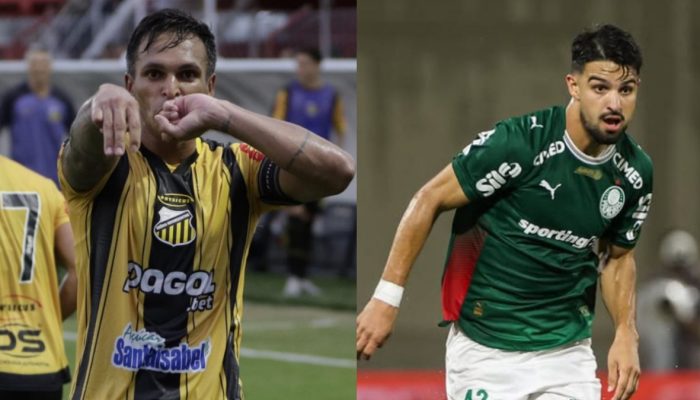 Novorizontino e Palmeiras se enfrentam nesta terça-feira — Foto: ReproduçãoNovor