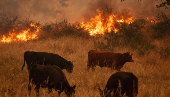 638385255_926258559774219_4928997783722313149_n