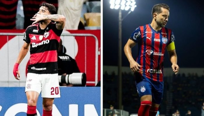 6656nj9mqah0z1sjmu0tvzo9b