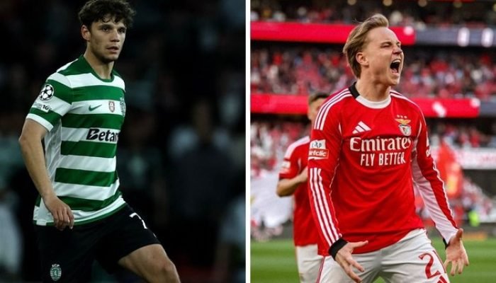 6kbch8i4uxbbax6xzlk6yvzlx