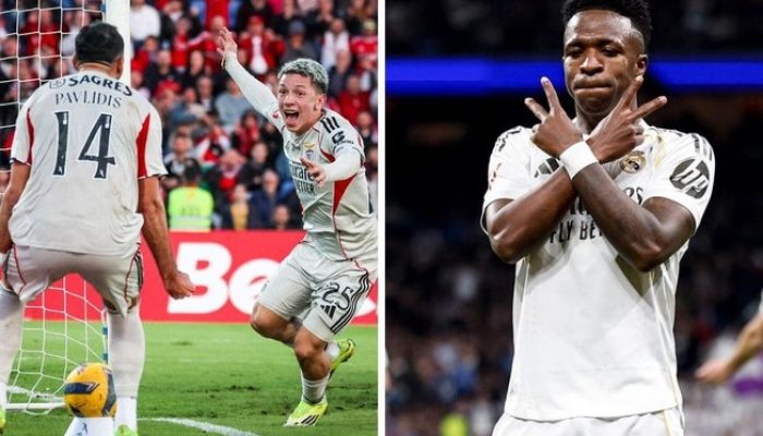 6ywgfic8fxf4xq8sqevt5m81p