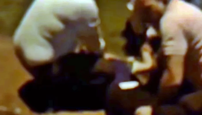 A ação mobilizou fiéis, a Guarda Municipal e equipes da delegacia de plantão — F