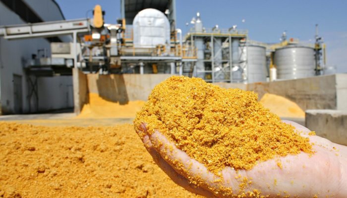 Foto: Conteúdo e Notícias do Agronegócio Brasileiro | CompreRura
