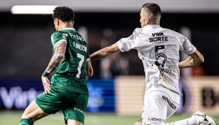 Palmeiras e Santos se enfrentam pelo Paulistão — Foto: Jhony Inacio/Ag. Paulistã