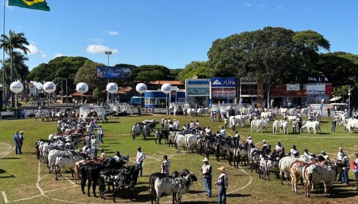 Foto: Conteúdo e Notícias do Agronegócio Brasileiro | CompreRura