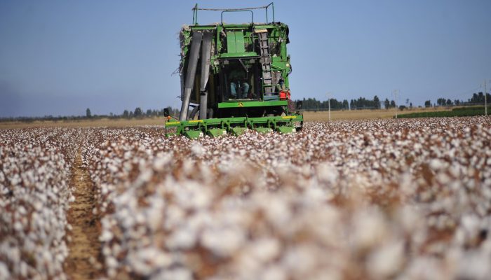 Foto: Foto: Divulgação