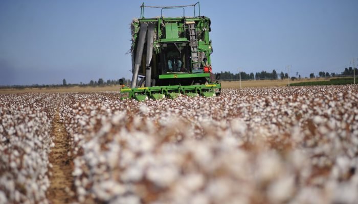 Foto: Conteúdo e Notícias do Agronegócio Brasileiro | CompreRura