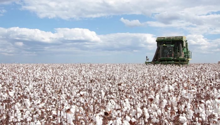 Foto: Conteúdo e Notícias do Agronegócio Brasileiro | CompreRura