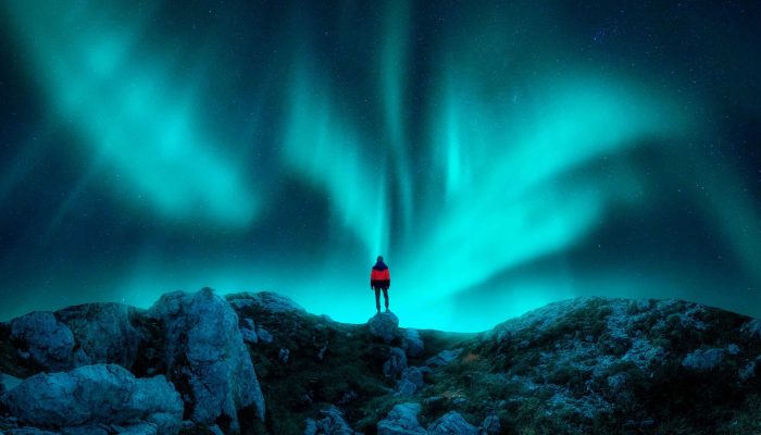 Imagem ilustrativa — Foto: Imagem ilustrativa (Imagem: Denis Belitsky/Shuttersto