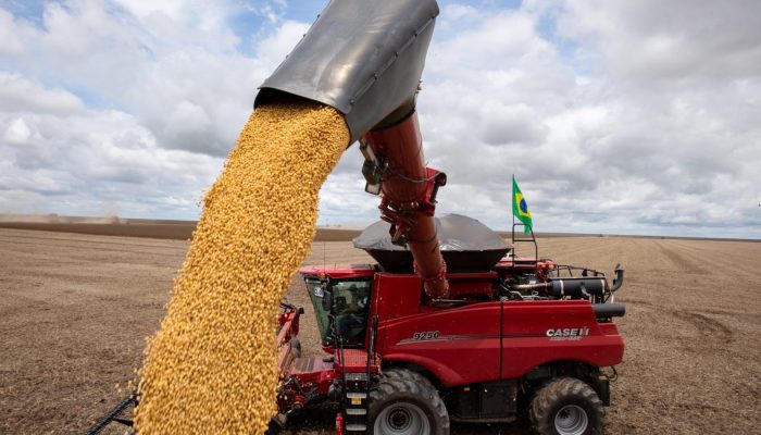 Foto: Foto: Divulgação