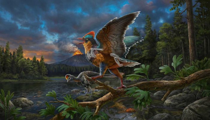 Ilustração artística do Baminornis zhenghensis — Foto: Ilustração artística retr