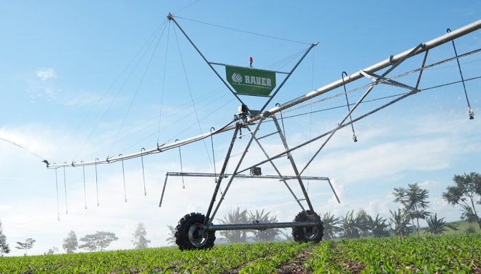 Foto: Conteúdo e Notícias do Agronegócio Brasileiro | CompreRura