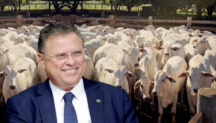 Blairo-Maggi-ex-ministro-da-Agricultura-mega-leilao-cuiaba