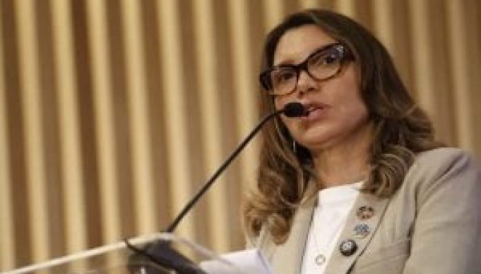 Captura-de-Tela-2025-07-03-as-12.40.01-300x188-1