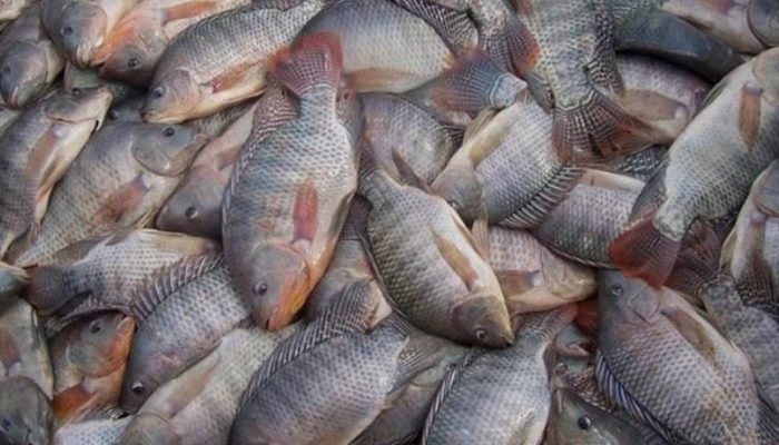 Foto: Foto: Ministério da Integração e do Desenvolvimento Regional