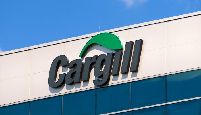 Foto: Cervo indiano invade o Pantanal e acende alerta ambiental no Brasil