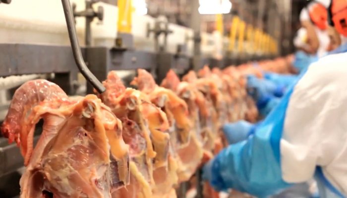 Foto: Foto: Divulgação