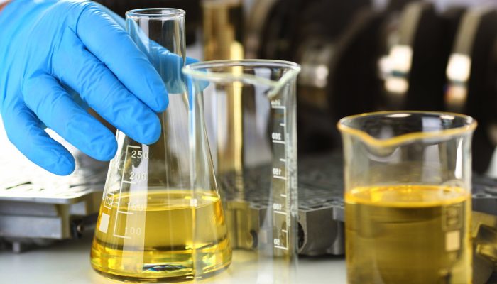 Foto: Foto: Divulgação