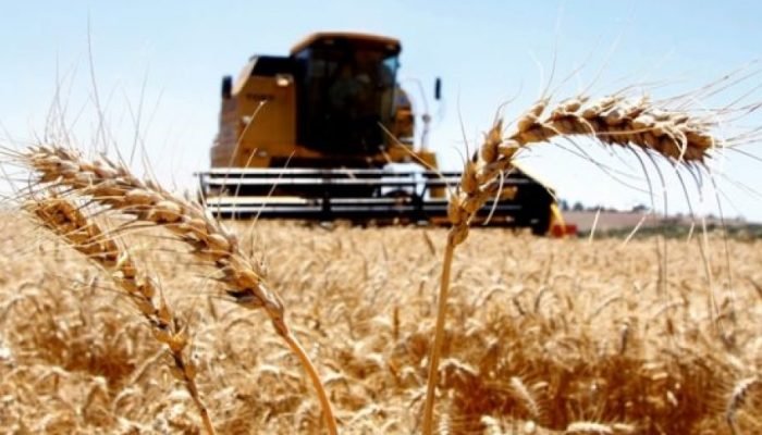 Foto: Conteúdo e Notícias do Agronegócio Brasileiro | CompreRura