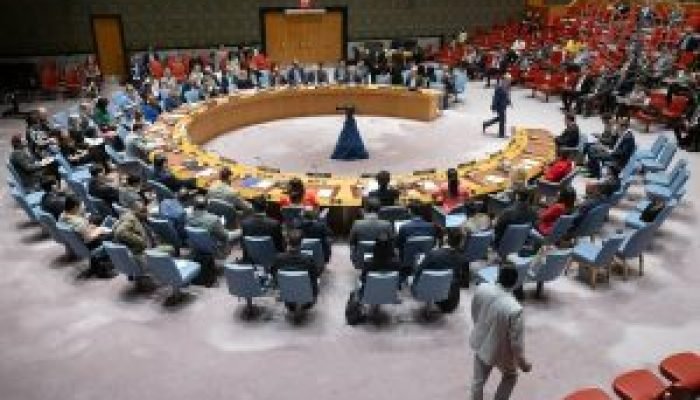 Conselho-de-Seguranca-da-ONU-300x200-1