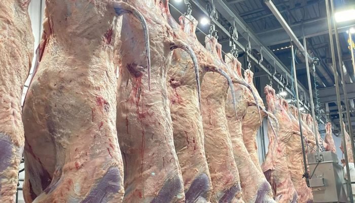 Credito_Mateus_Chaveiro1