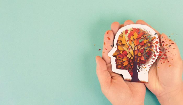 Design-sem-nome-2-5-1024x576-1