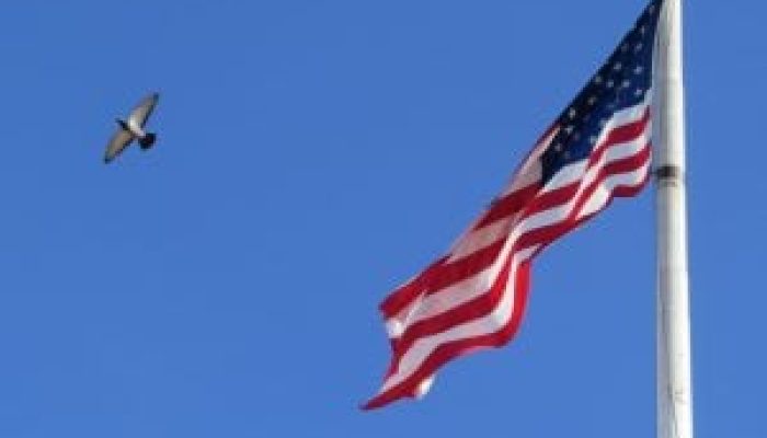 Estados-Unidos-300x200-1