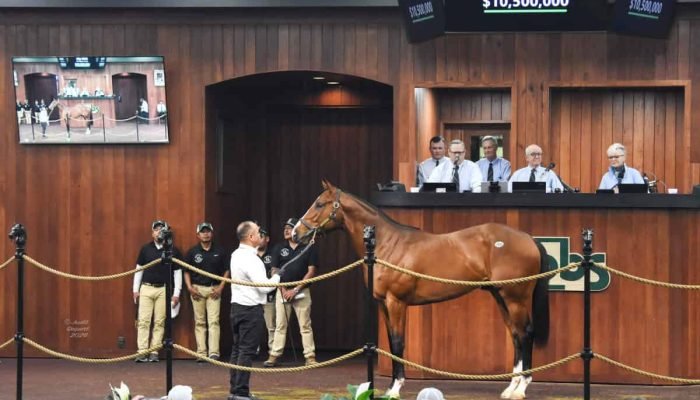 FTBOA-HDR-1056ring_2727-1200x904-1