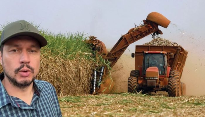 Foto: Notícias do Agronegócio Brasileiro – CompreRural