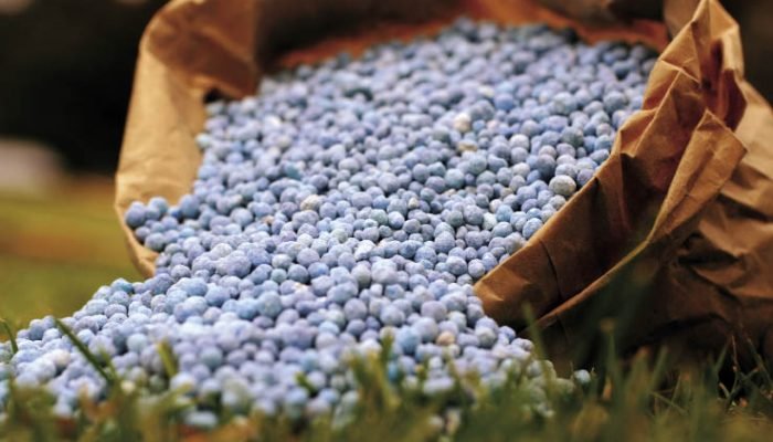 Foto: Conteúdo e Notícias do Agronegócio Brasileiro | CompreRura